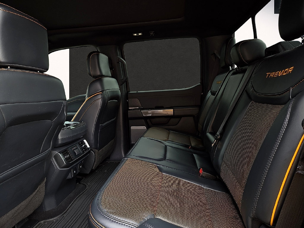 2023 Ford F-150 Tremor - Photo 9