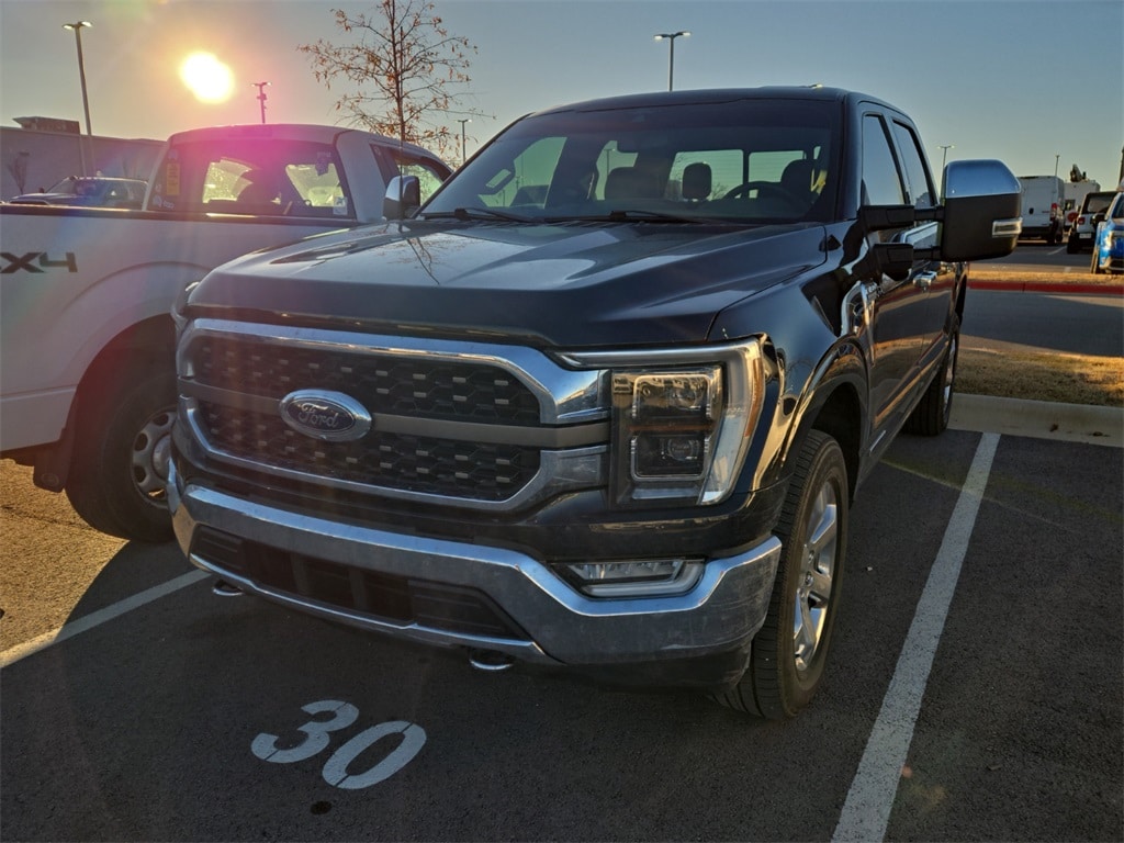 2021 Ford F-150 King Ranch's photo