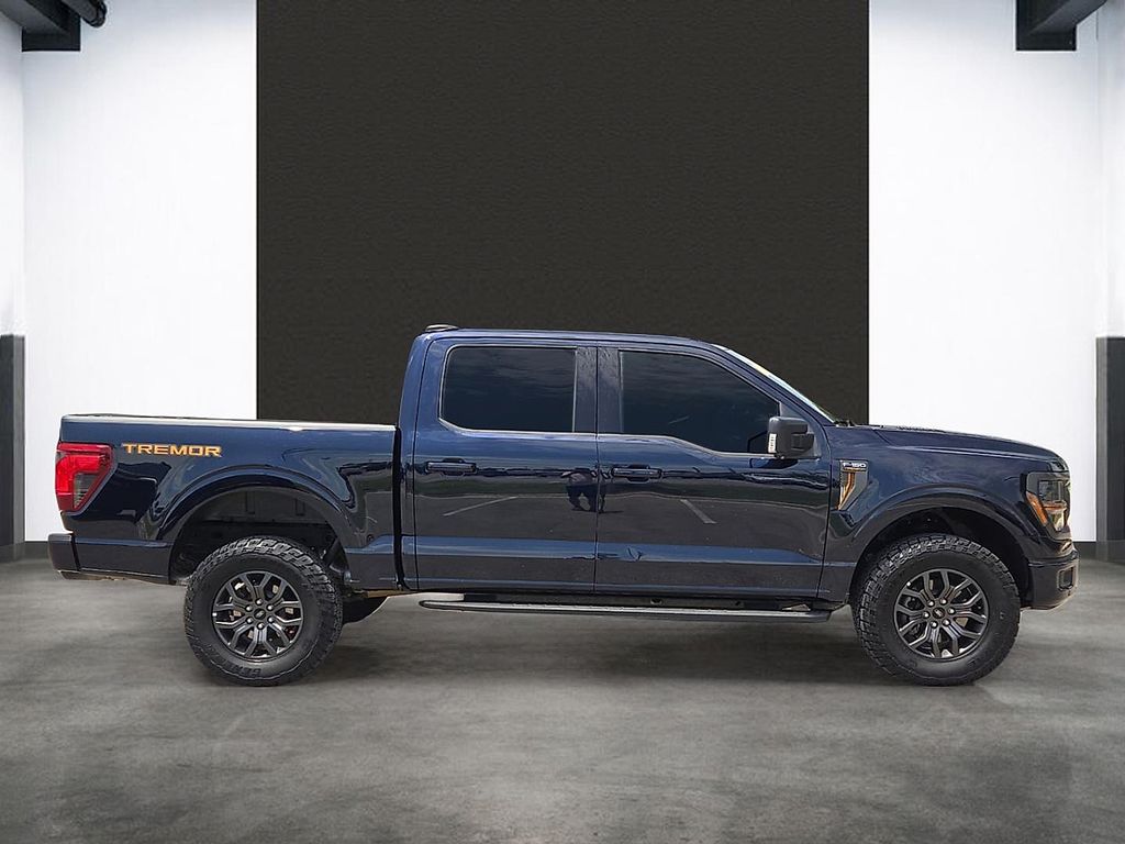 2025 Ford F-150 Tremor - Photo 10