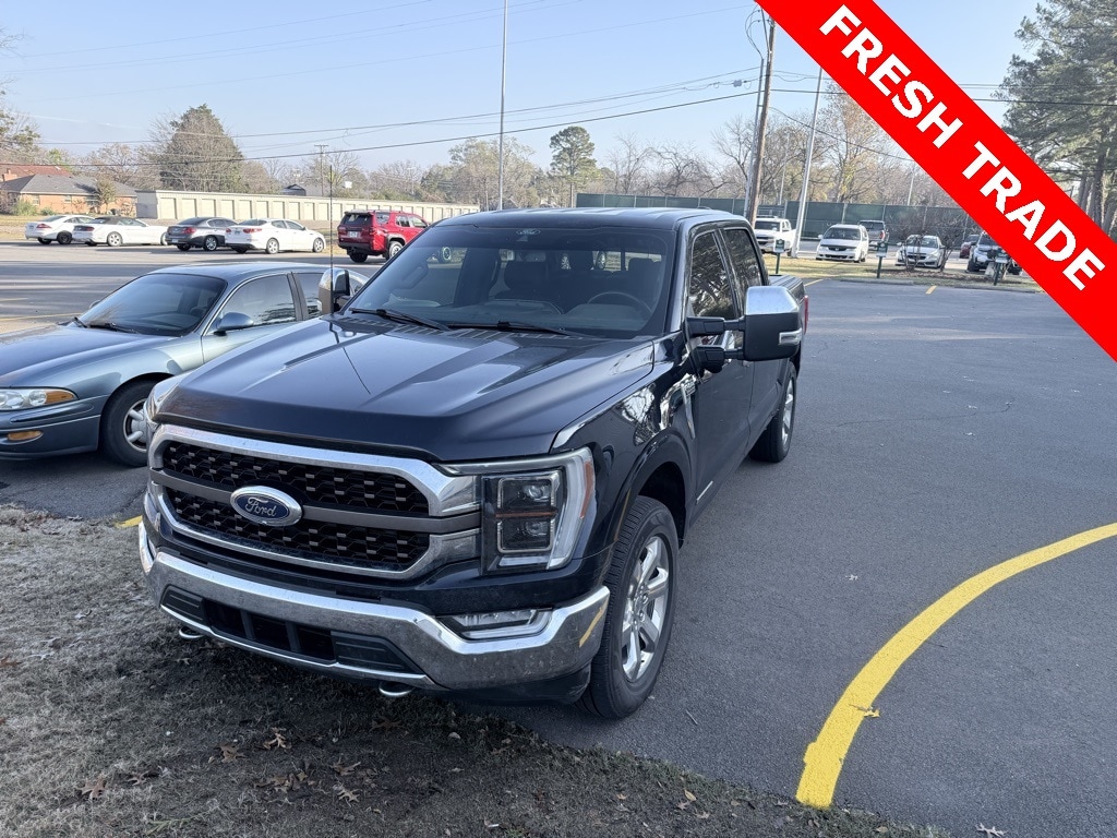 2021 Ford F-150 King Ranch's photo