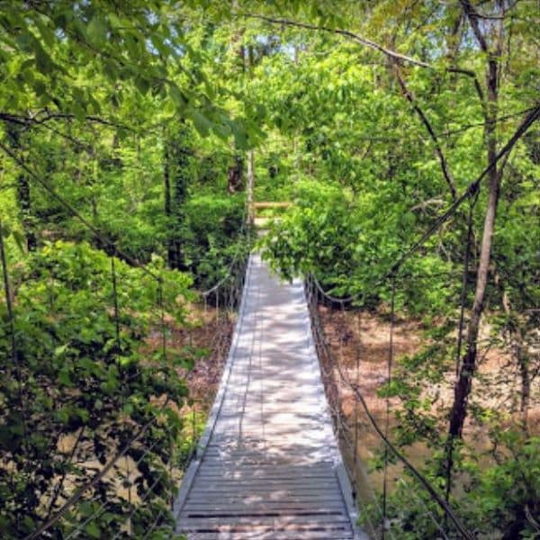 tanyard creek.jpg