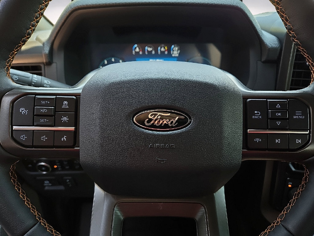 2025 Ford F-150 Tremor - Photo 19