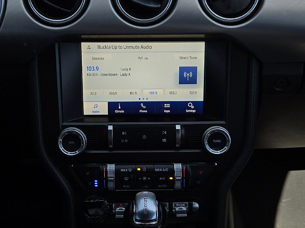 2020 Ford Mustang EcoBoost Premium - Photo 10