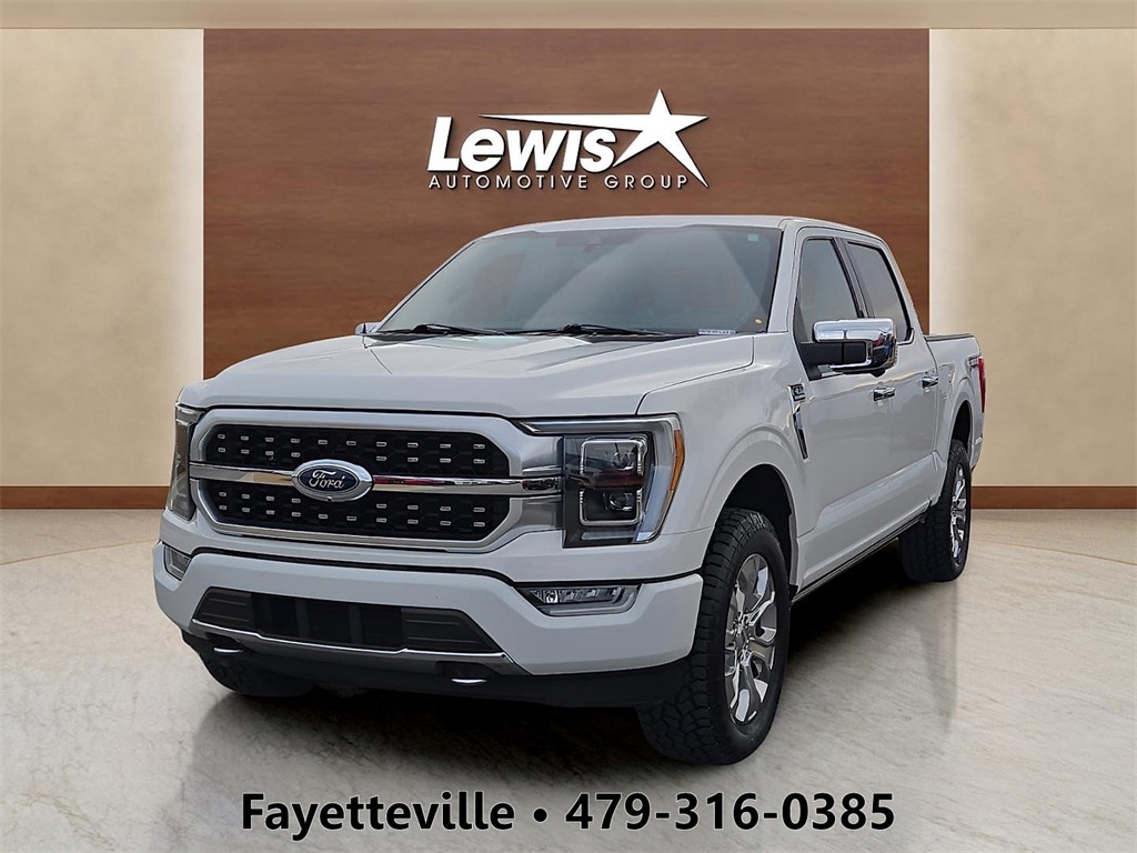 2021 Ford F-150 Platinum's photo