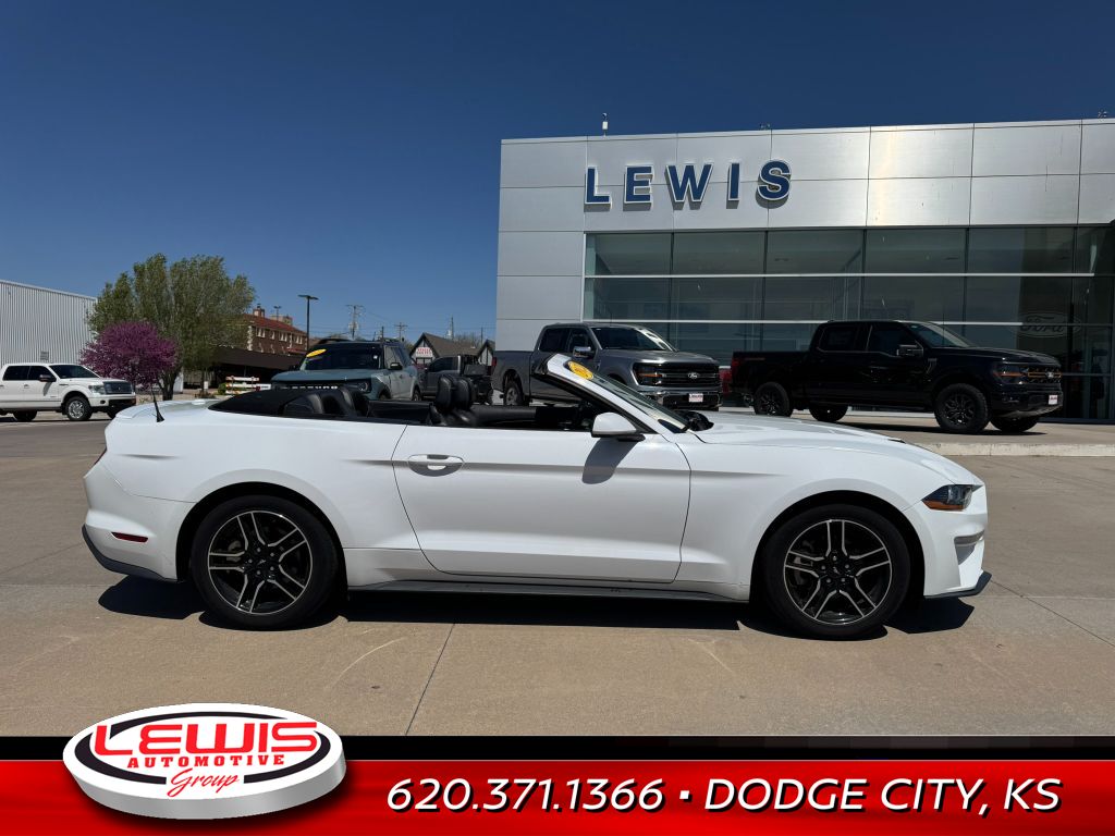 2022 Ford Mustang EcoBoost Premium photo 4