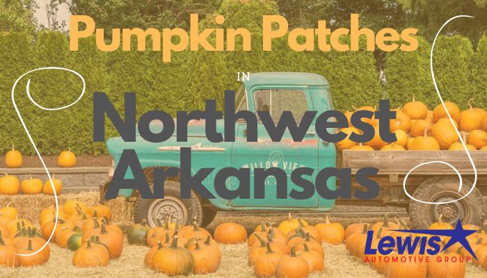 NWA Local Pumpkin Patches.jpg