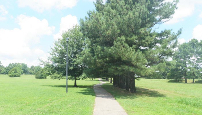 700 × 400