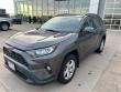 2020 Toyota RAV4 XLE SUV