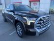 2025 Toyota Tundra 1794 Edition Truck CrewMax
