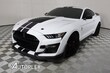 Ford Shelby GT500