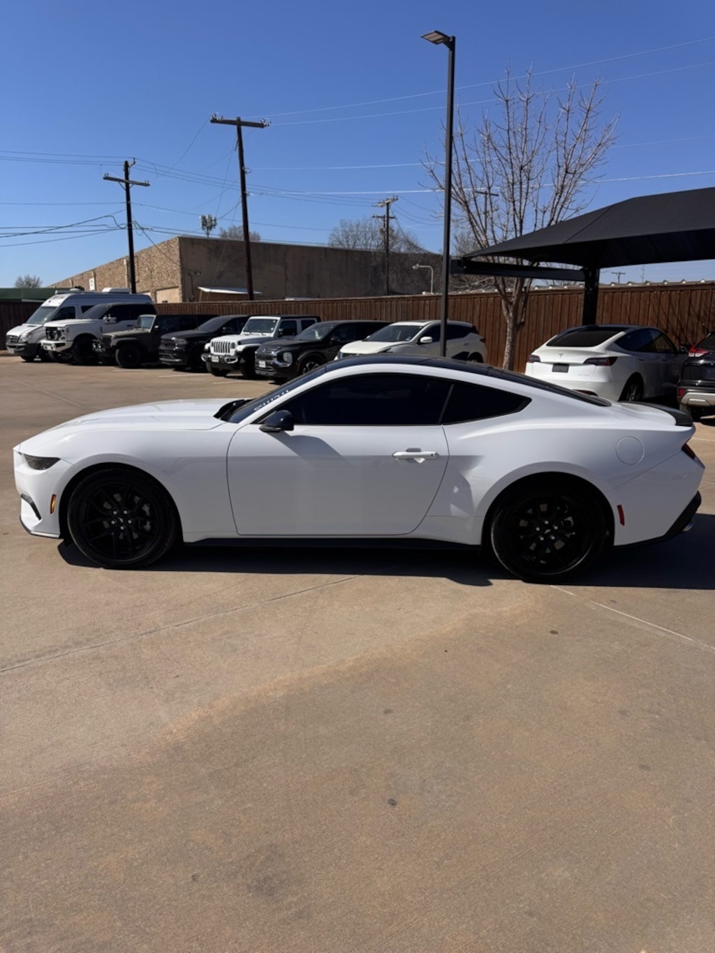 Used 2025 Ford Mustang Ecoboost Coupe