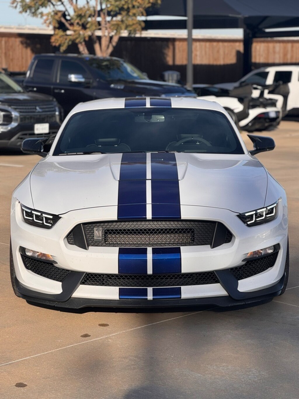 Used 2016 Ford Shelby GT350 Shelby GT350 Coupe