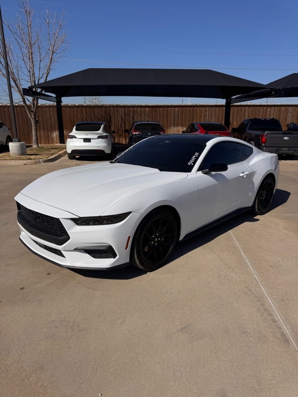 Used 2025 Ford Mustang Ecoboost Coupe