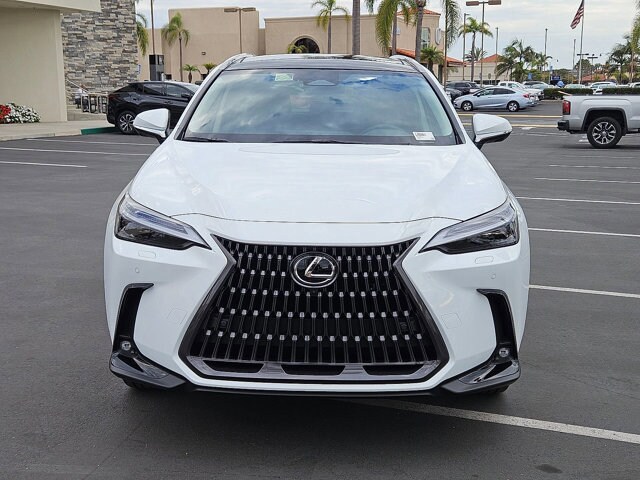 2026 Lexus NX Luxury AWD photo 2