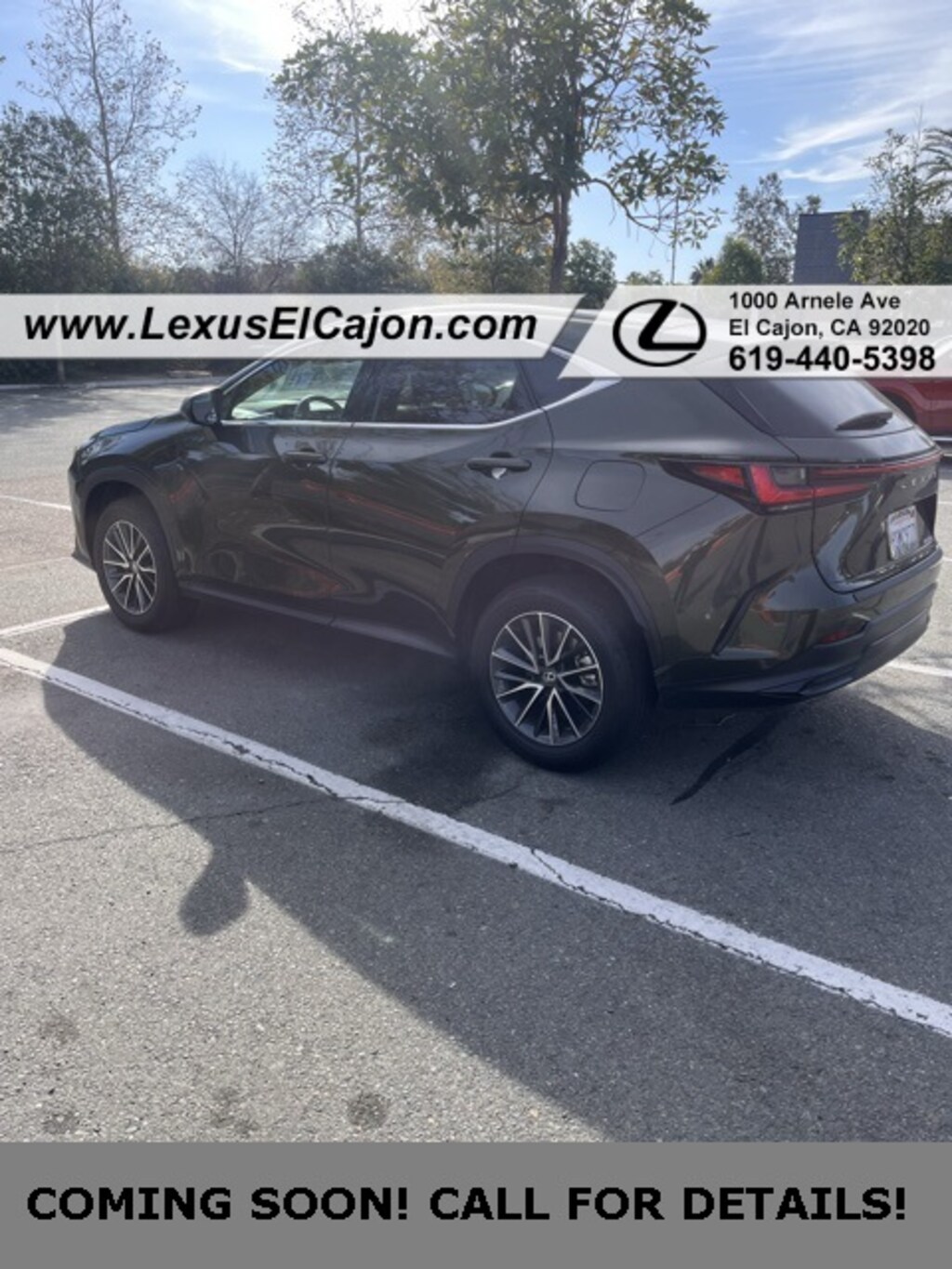 Used 2025 Lexus NX 250 Base SUV