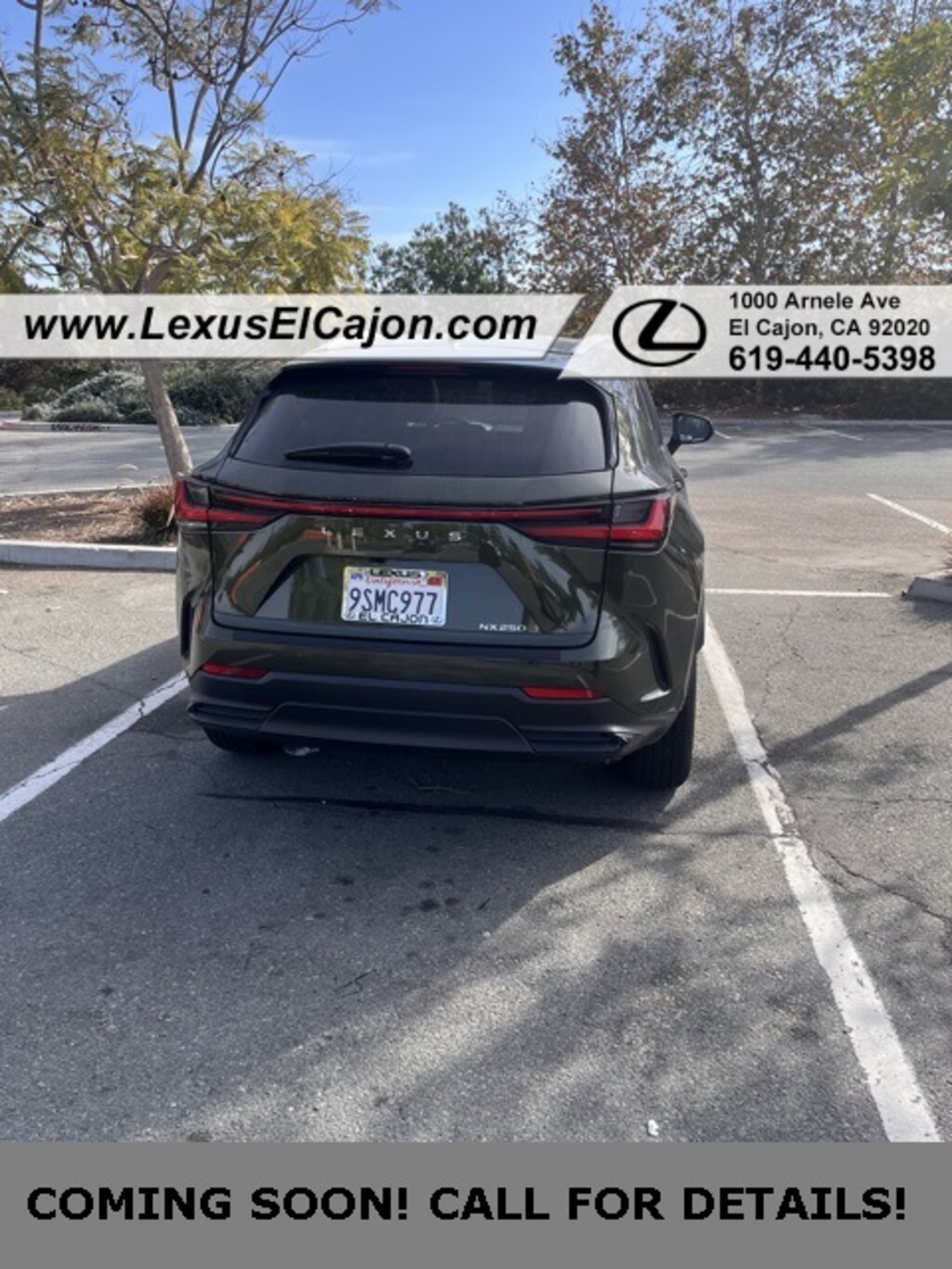 Used 2025 Lexus NX 250 Base SUV