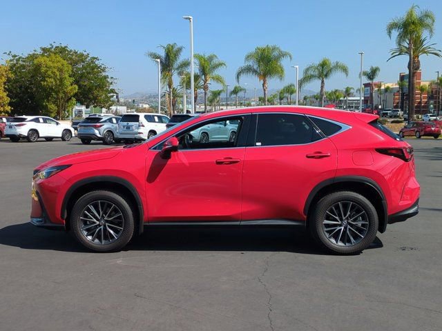 2024 Lexus NX 350 - Photo 8