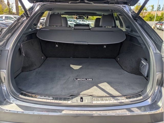 2025 Lexus RX Hybrid 350h - Photo 29