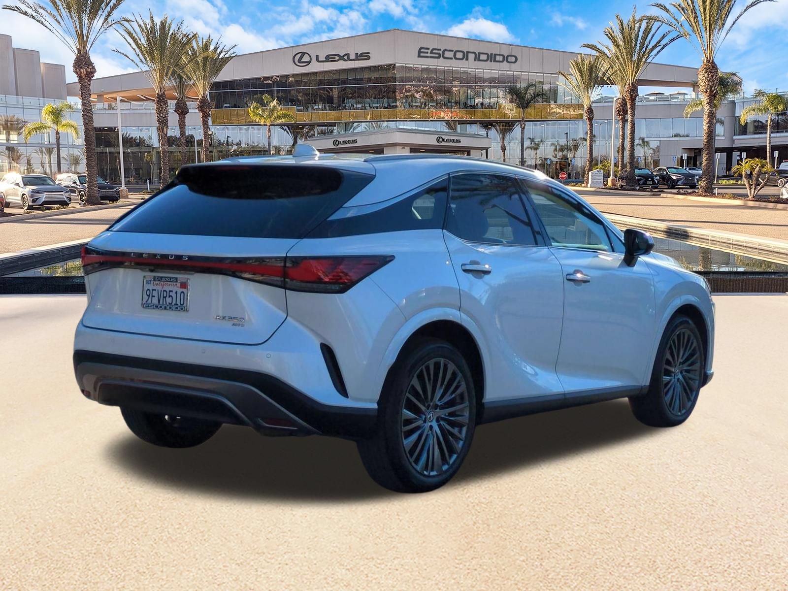 Photo 5