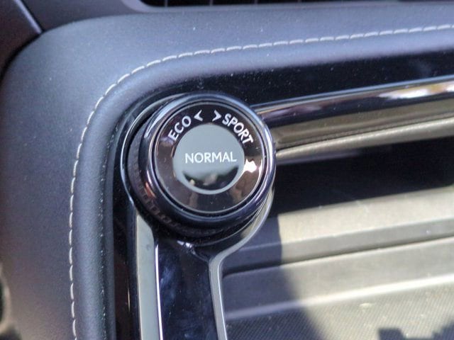 2024 Lexus NX 350 - Photo 32