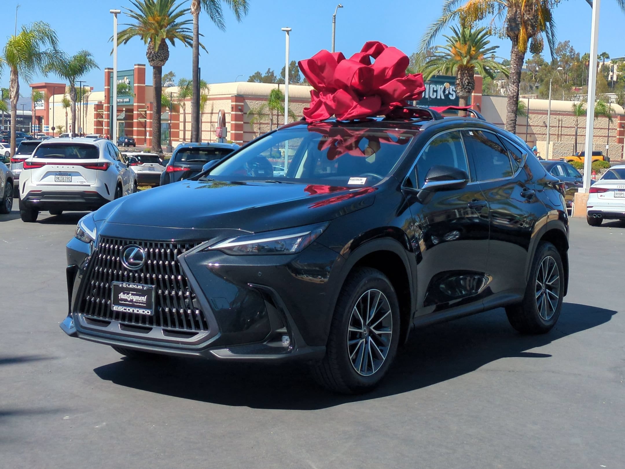 2024 Lexus NX