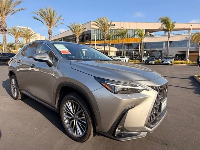 2024 Lexus NX 350h 350h Luxury AWD's photo