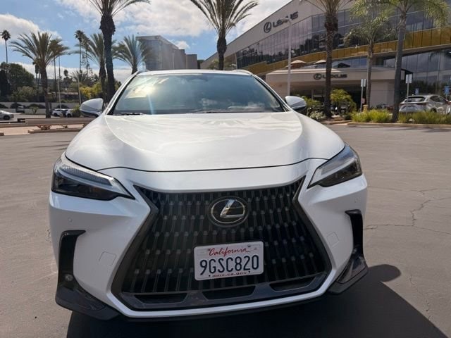2024 Lexus NX 350h 350h Premium AWD's photo