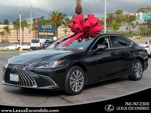 2022 Lexus ES 250's photo