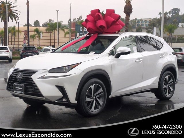 2020 Lexus NX Hybrid 300h's photo