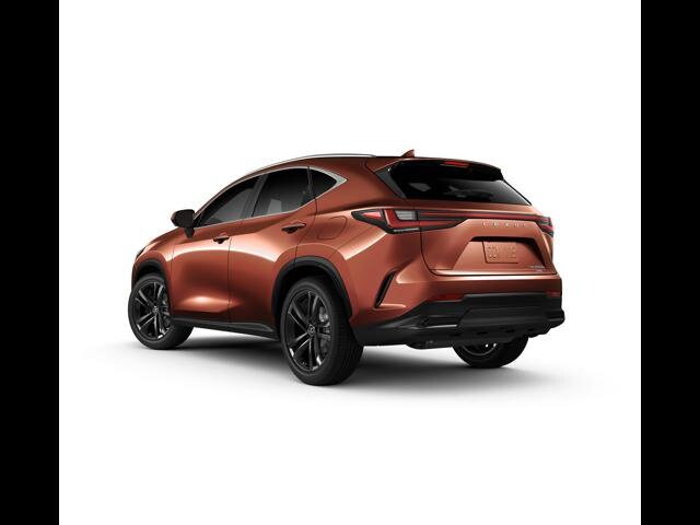 2025 Lexus NX Luxury photo 3