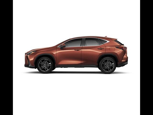 2025 Lexus NX Luxury photo 2