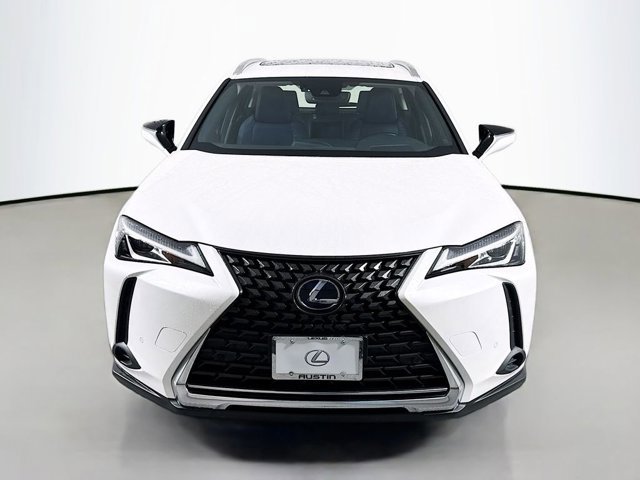 2021 Lexus UX 250h photo 2
