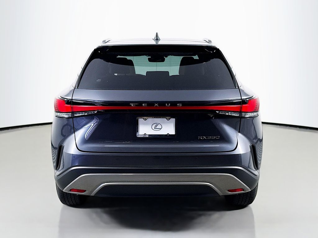 2025 Lexus RX 350 - Photo 6