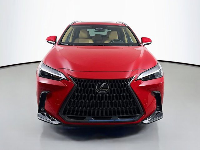 2025 Lexus NX 250 Premium photo 2
