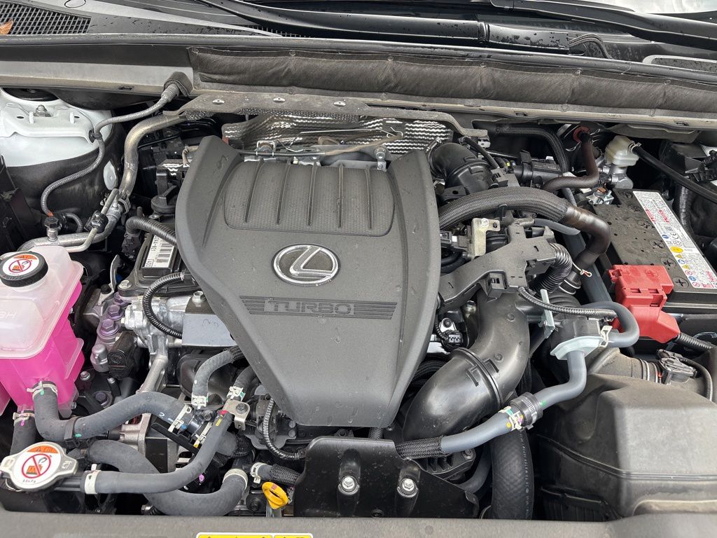 2025 Lexus RX 350 - Photo 18