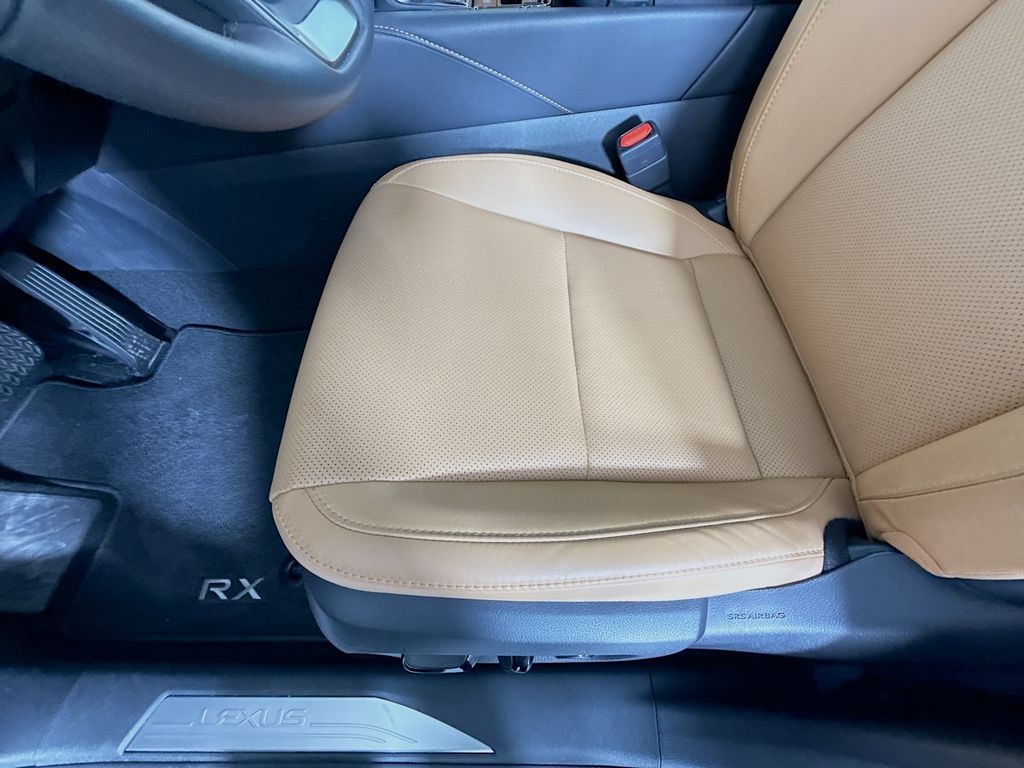 2025 Lexus RX 350 - Photo 19