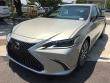 LEXUS ES 350 Luxury