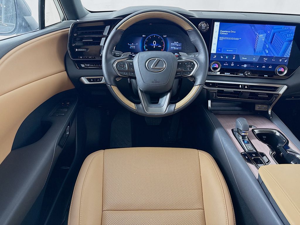 2025 Lexus RX 350 - Photo 24