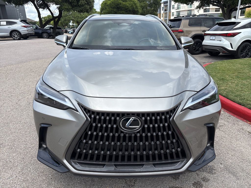 2025 Lexus NX 350 - Photo 8