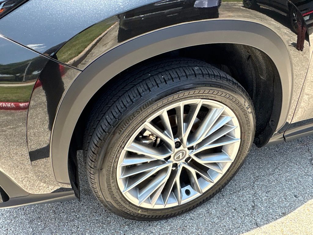 2025 Lexus NX 350 - Photo 9
