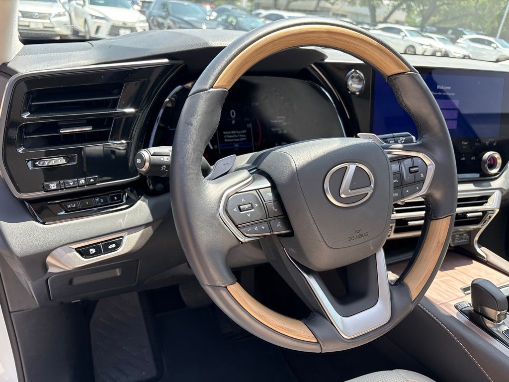 2025 Lexus RX 350 - Photo 13
