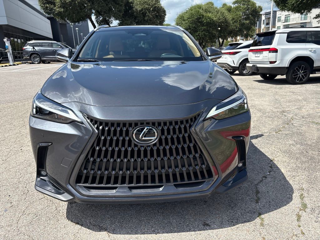 2025 Lexus NX 250 - Photo 8
