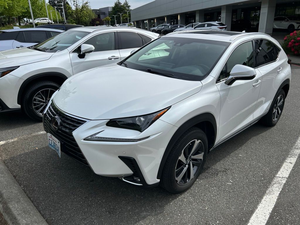 2019 Lexus NX 350h 300h AWD's photo