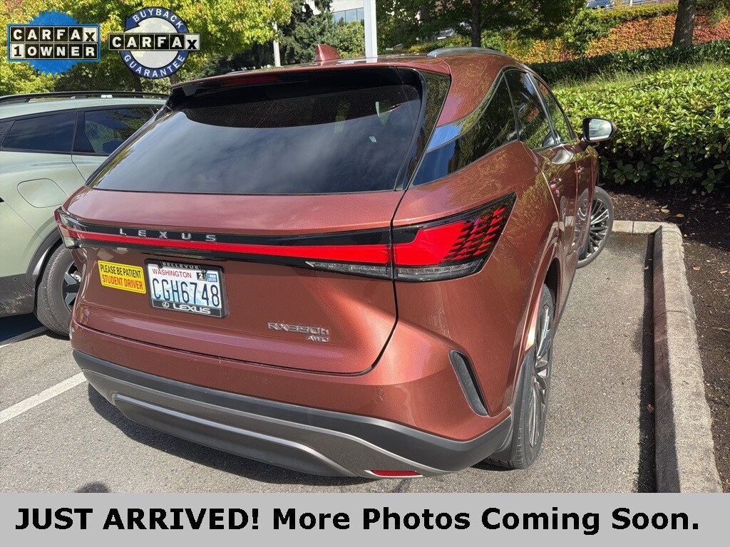 2023 Lexus RX 350h Luxury photo 3