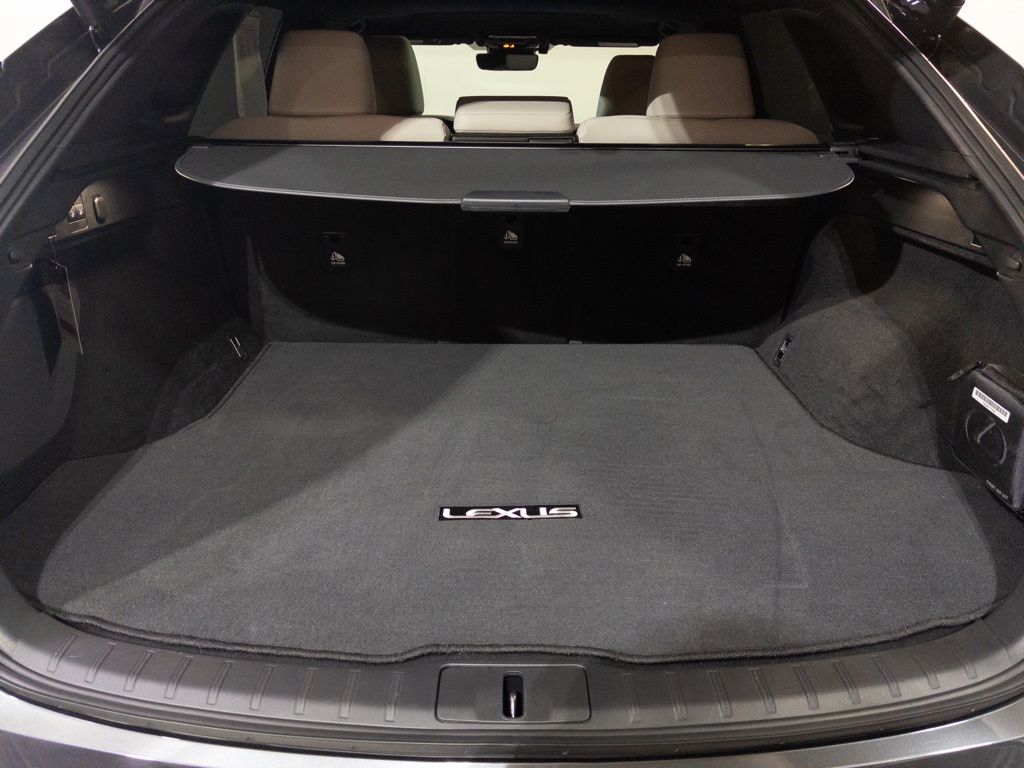 2025 Lexus RX Hybrid 350h - Photo 10