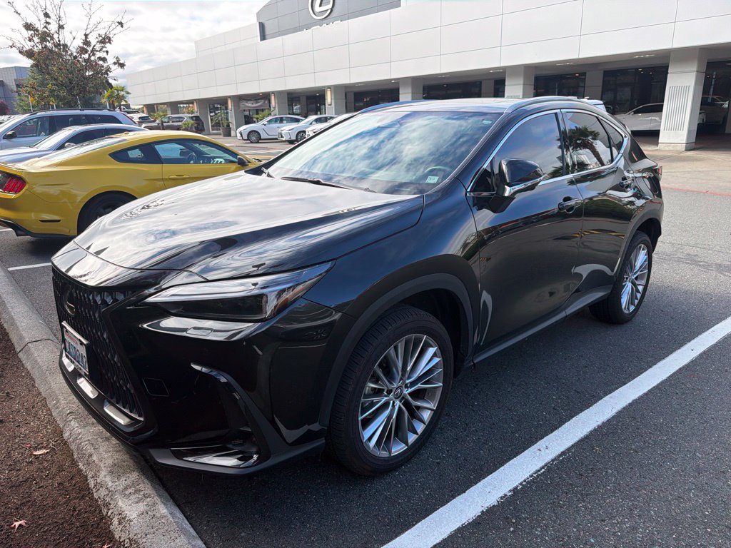 Used 2024 Lexus NX NX 350h Luxury