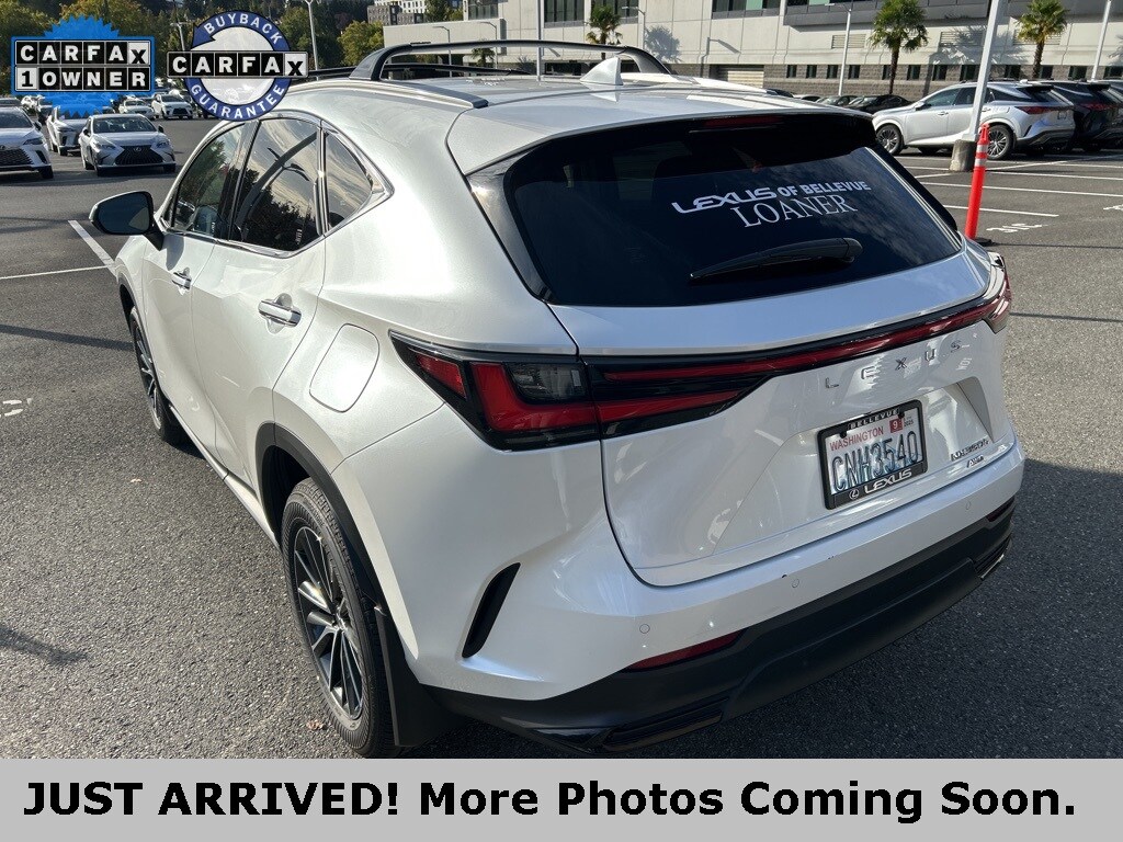 2025 Lexus NX 350h Premium photo 4