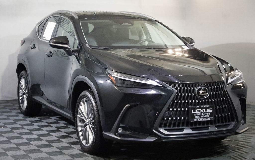 2024 Lexus NX Hybrid 350h's photo