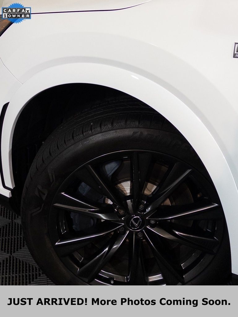 2024 Lexus RX 350 F SPORT - Photo 28