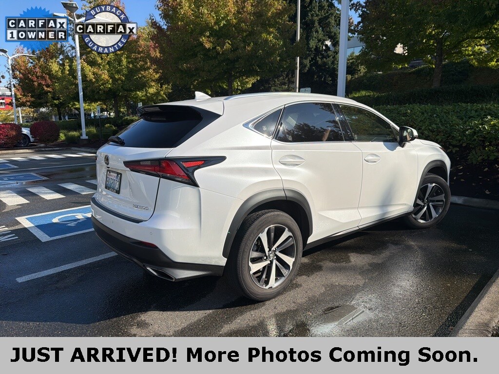 2018 Lexus NX 300 Luxury photo 2